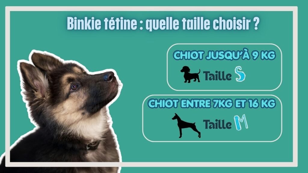 Infographie représentant les différentes tailles disponibles pour le binkie tétine de Kong. Il s'agit d'un jouet pour chiot qui fait ses dents.