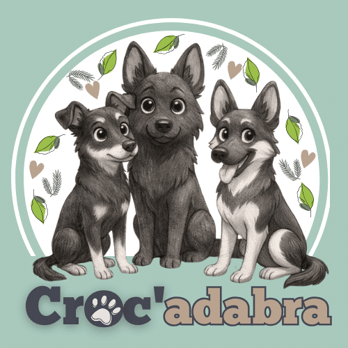 Illustration de l’image de marque Crocadabra avec trois chiens souriants représentant le bien-être canin