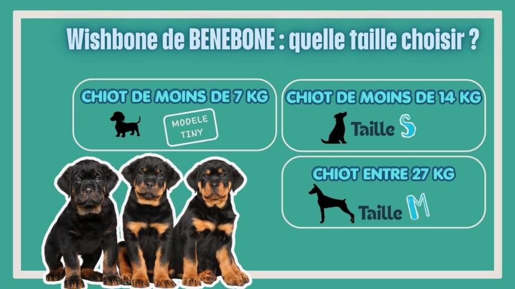 Le wishbone de benebone fait partie des meilleurs jouets pour un chiot qui fait ses dents.