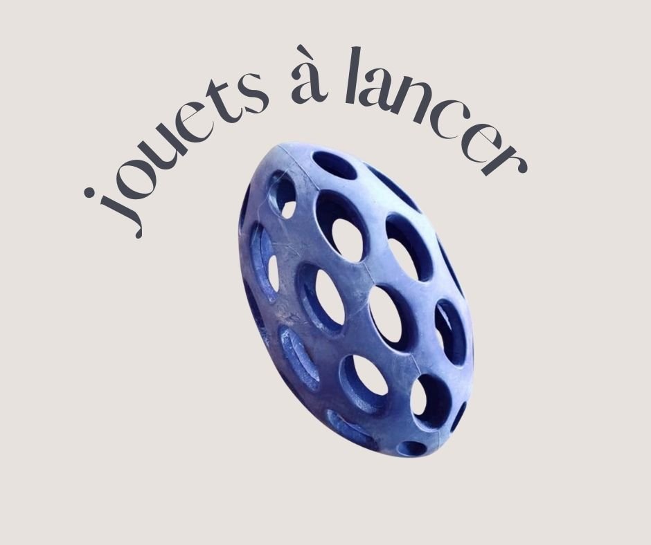 Photographie d'un jouet à lancer pour chien.