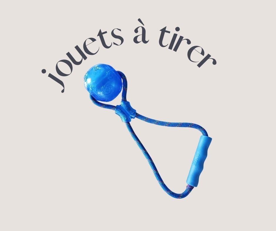 Photographie d'un jouet à tirer pour chien.