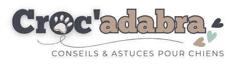 Crocadabra