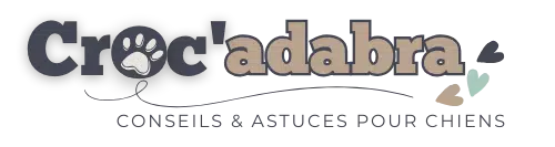 Crocadabra