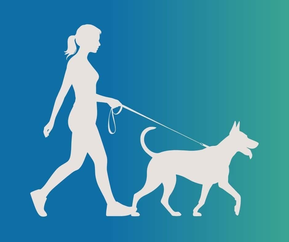 Icône besoins physiques des grands chiens.