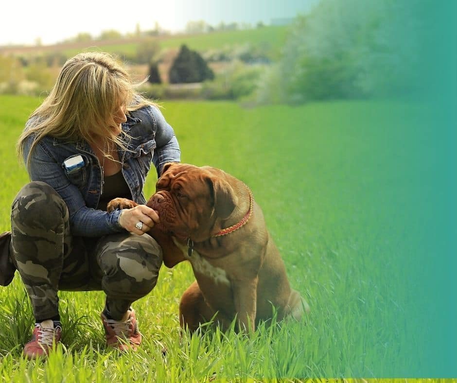 Maîtresse agenouillée offrant une récompense à son chien qui pose sa patte sur elle, illustrant le lien affectif et la confiance dans la relation humain-chien