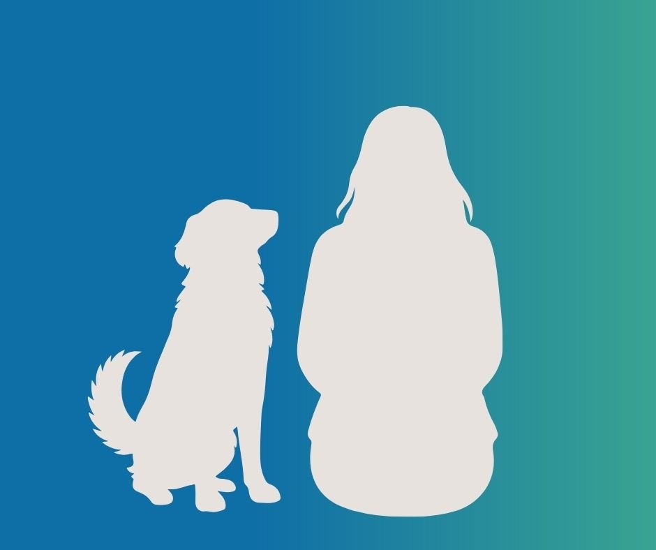 comportement vieux chien