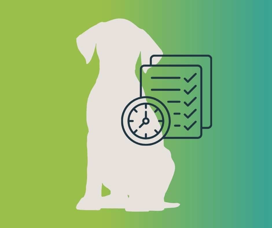 Icône routine bien-être chien avec horloge et checklist.