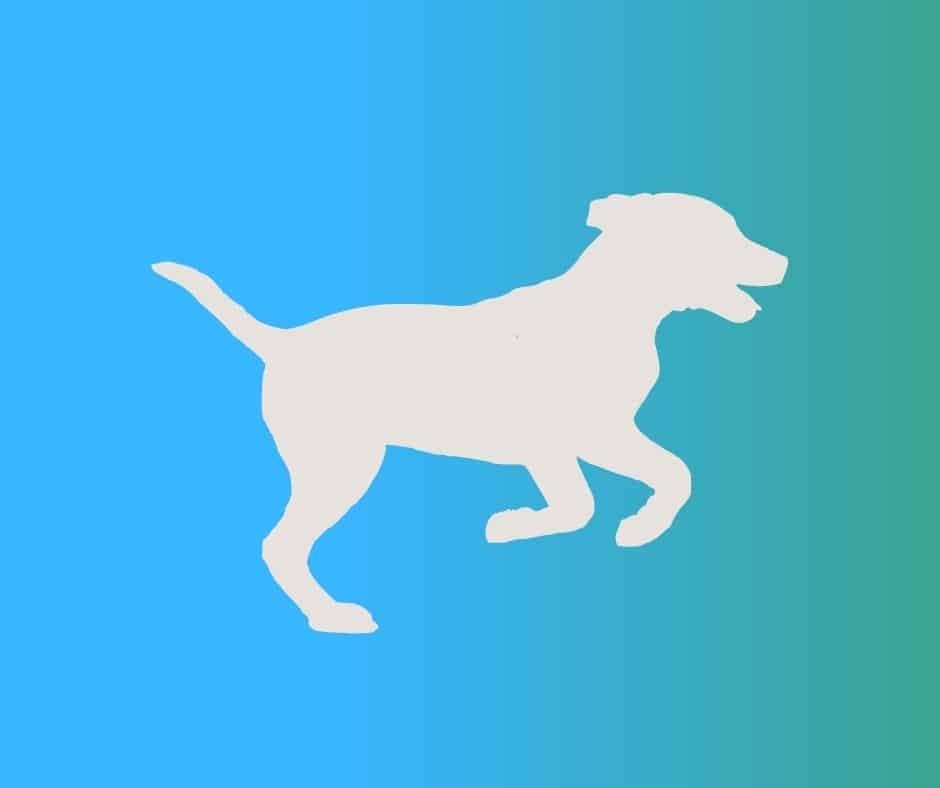 Icône bien-être physique chien en mouvement.