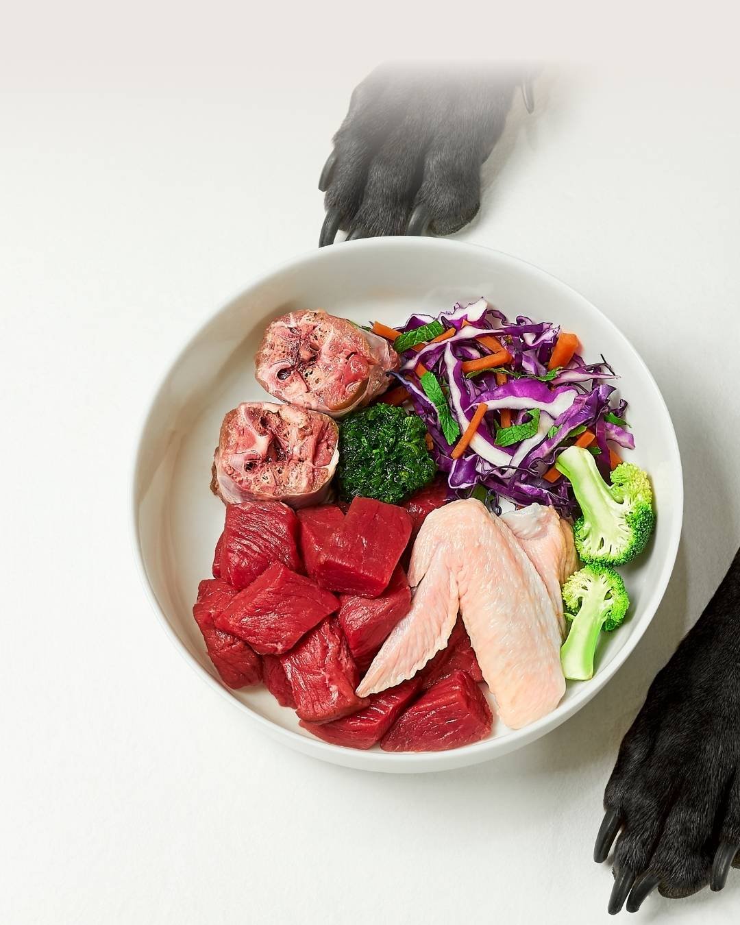 Repas pour chien composé de viande, d'abats, d'os et de légumes dans une gamelle