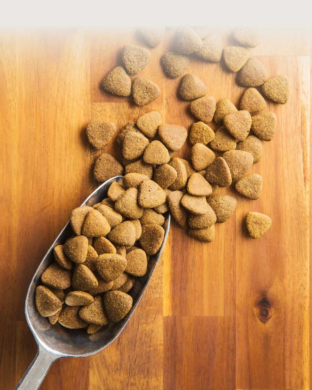 Croquettes sans céréales adaptées à l'alimentation de certains chiens de grande race