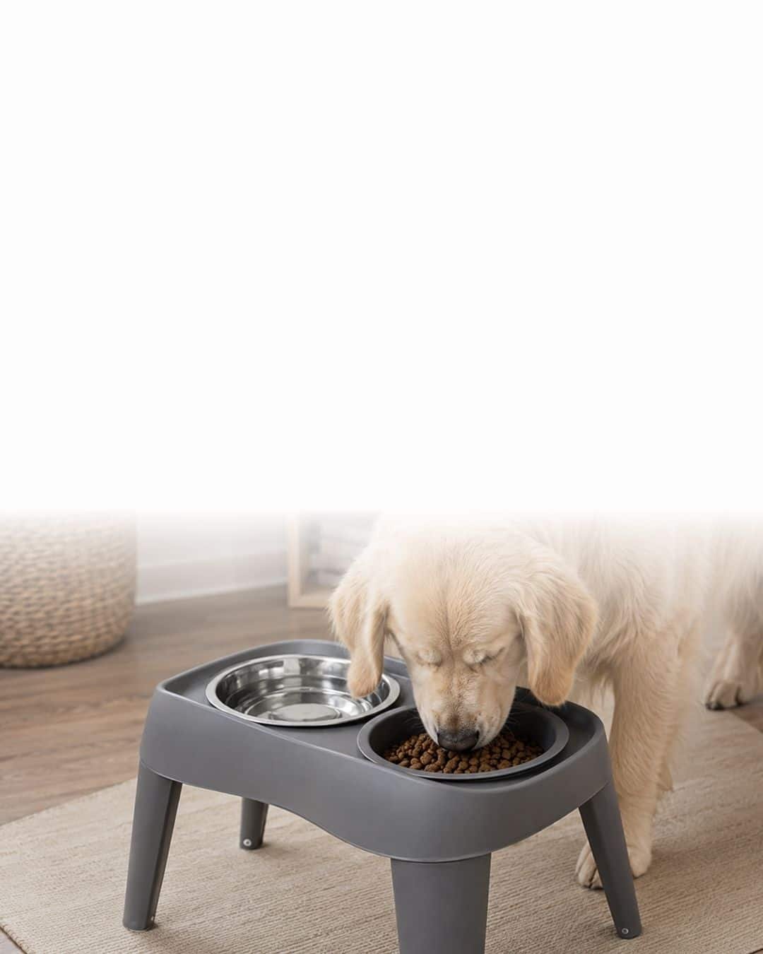 Gamelle surélevée pour chien de grande race