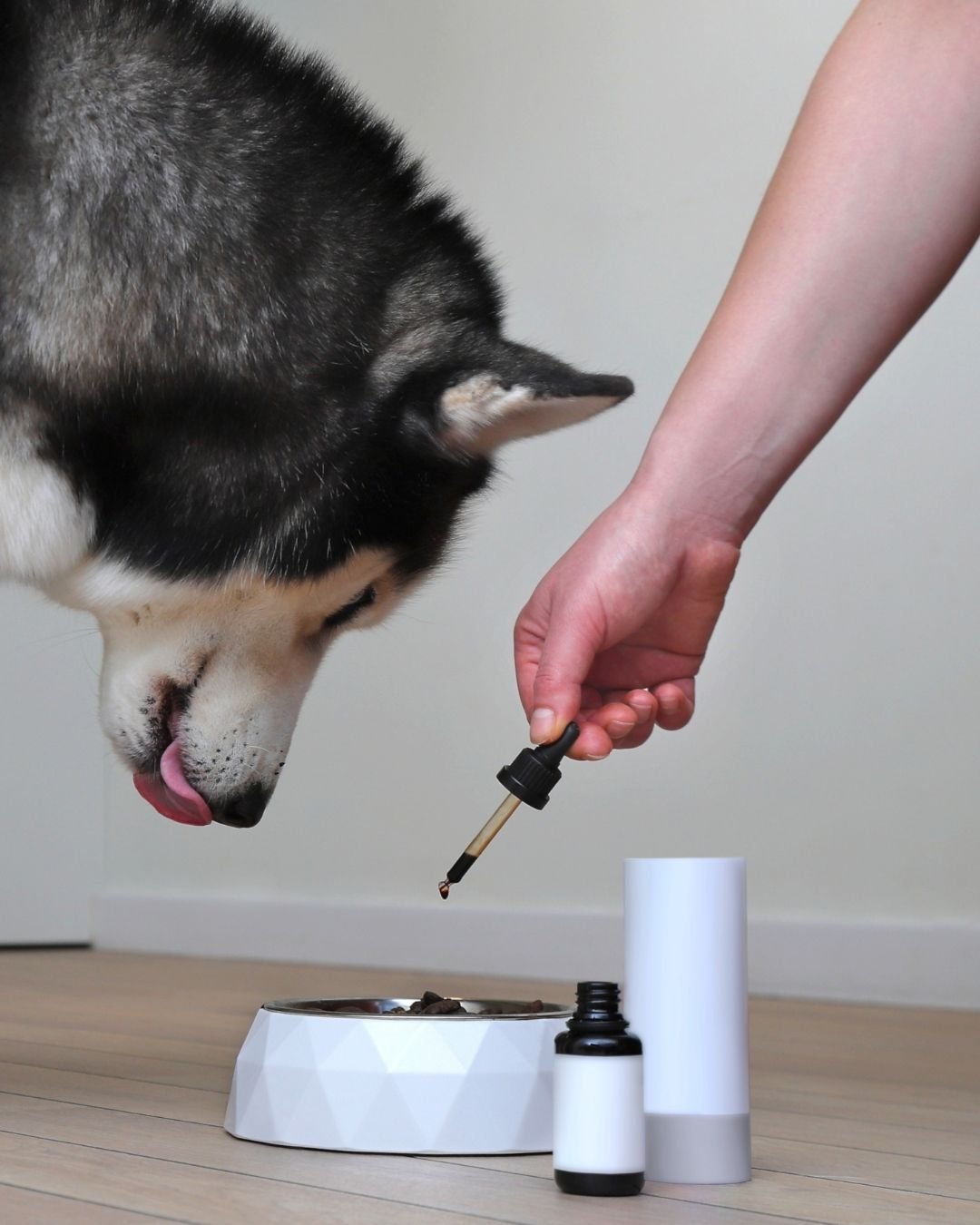 Les compléments alimentaires permettent de soutenir la fonction articulaire de ton chien, particulièrement important si ton toutou est issu d'une grande race canine.