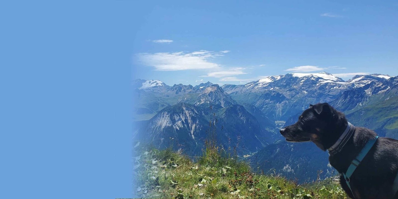 Vacances avec un chien dans les montagnes près de La Plagne dans les Alpes